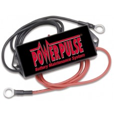 Pulsetech Powerpulse 12Volt With Lug Pulsetech Powerpulse 12Volt With Lug